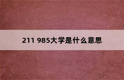 211 985大学是什么意思